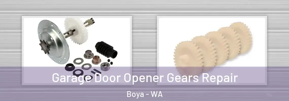 Garage Door Opener Gears Repair Boya - WA