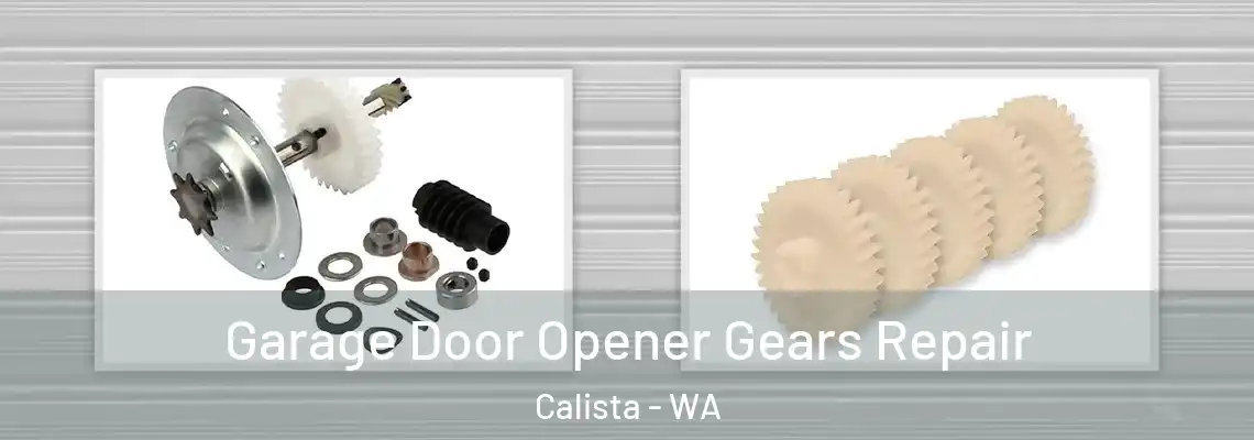  Garage Door Opener Gears Repair Calista - WA
