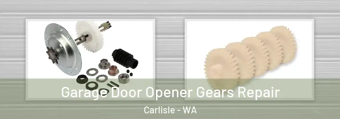  Garage Door Opener Gears Repair Carlisle - WA