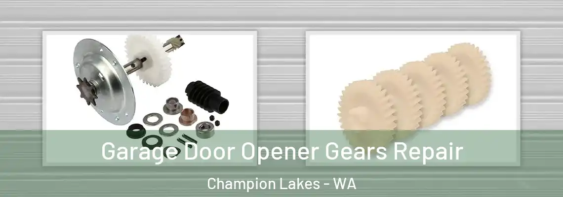  Garage Door Opener Gears Repair Champion Lakes - WA