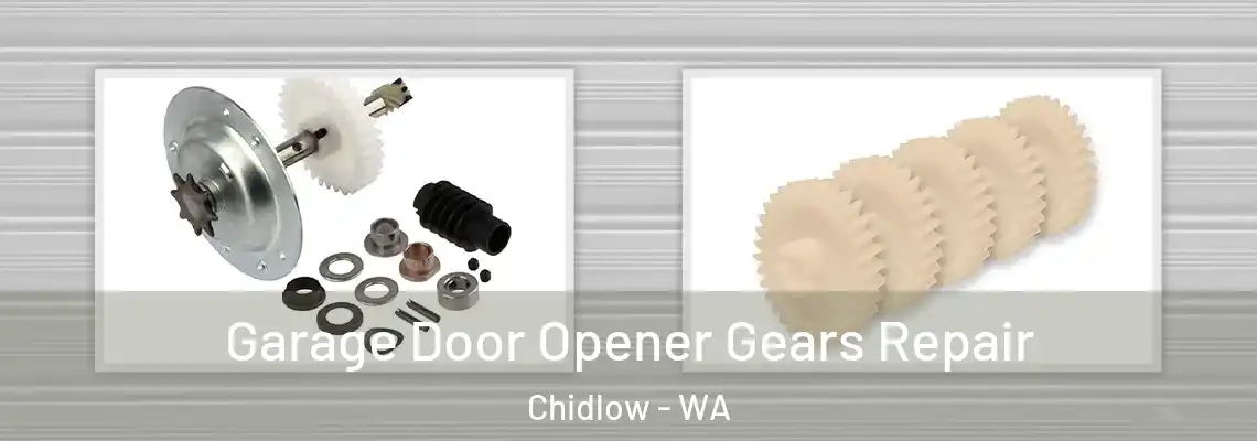  Garage Door Opener Gears Repair Chidlow - WA