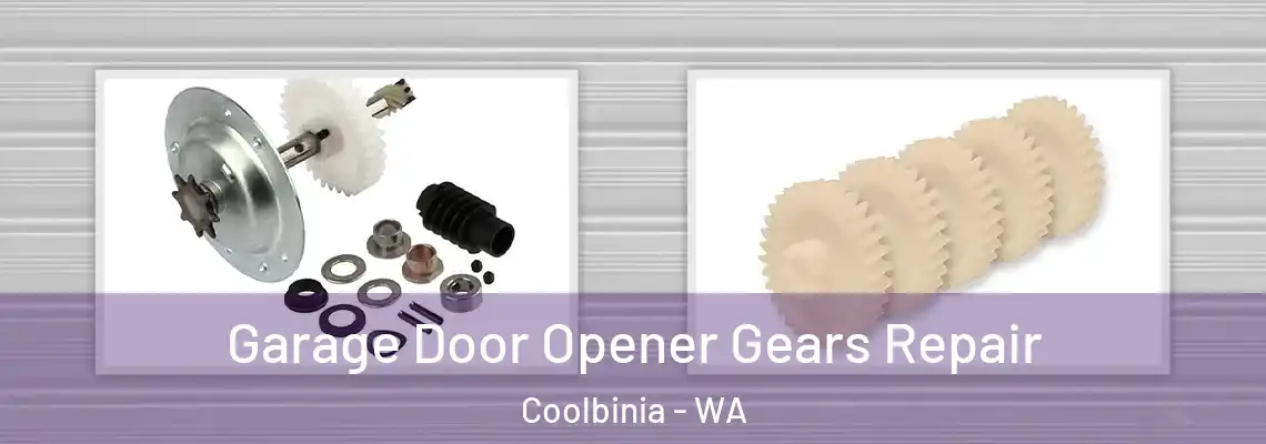  Garage Door Opener Gears Repair Coolbinia - WA