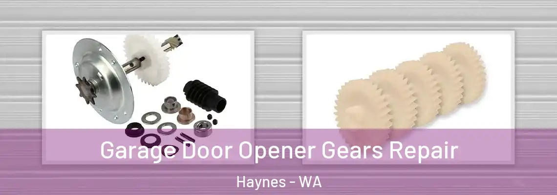  Garage Door Opener Gears Repair Haynes - WA