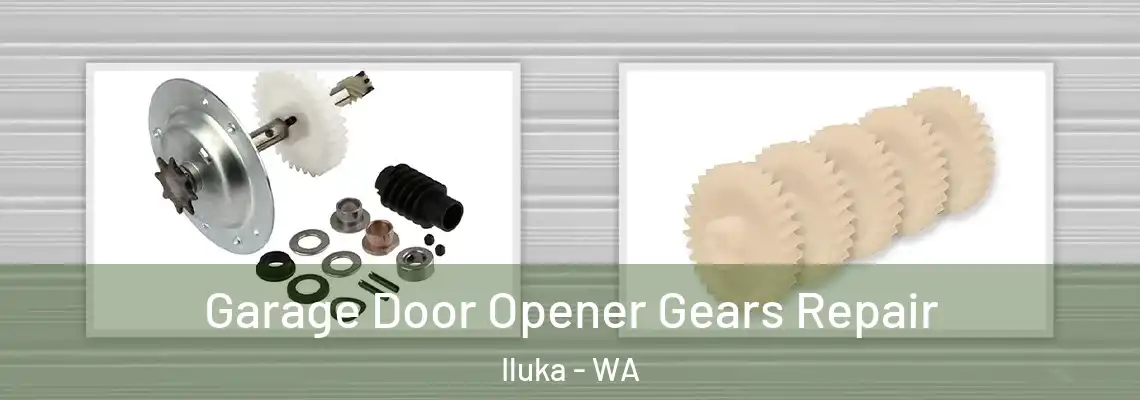  Garage Door Opener Gears Repair Iluka - WA