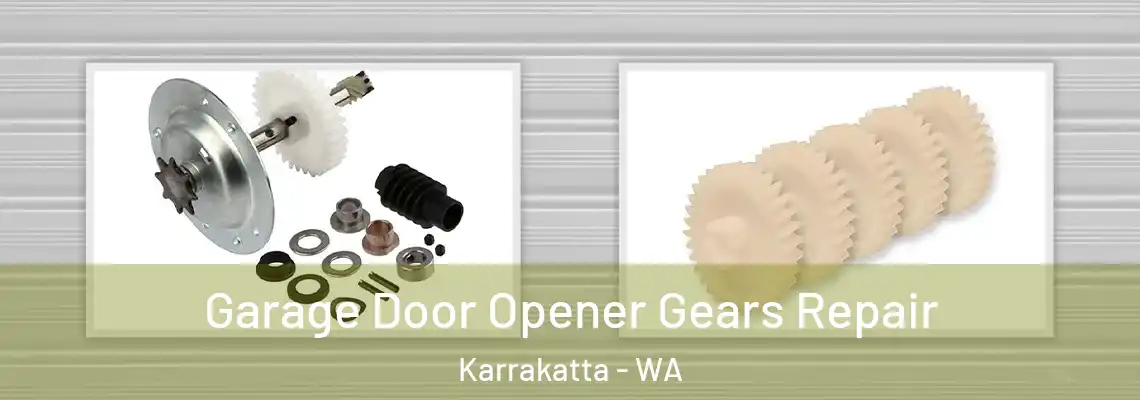  Garage Door Opener Gears Repair Karrakatta - WA