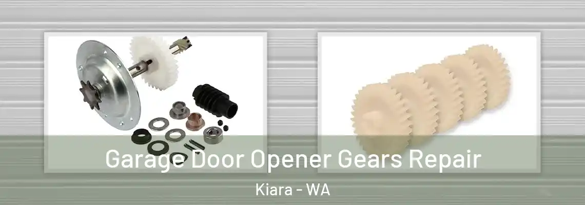  Garage Door Opener Gears Repair Kiara - WA