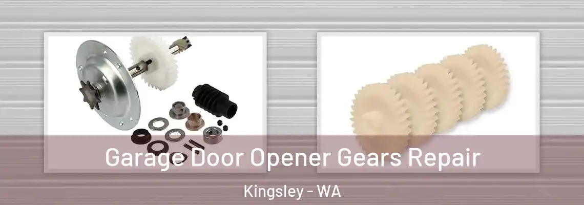  Garage Door Opener Gears Repair Kingsley - WA