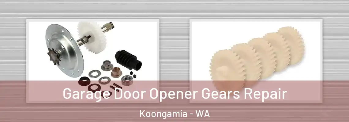  Garage Door Opener Gears Repair Koongamia - WA