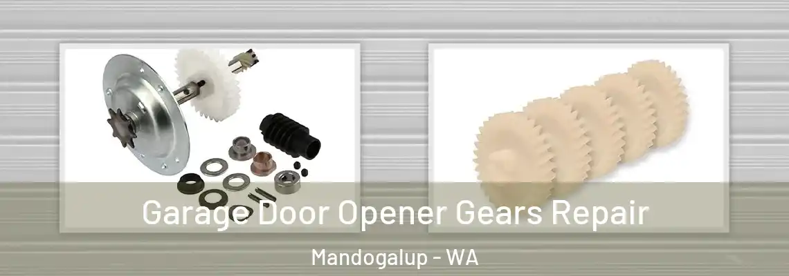  Garage Door Opener Gears Repair Mandogalup - WA