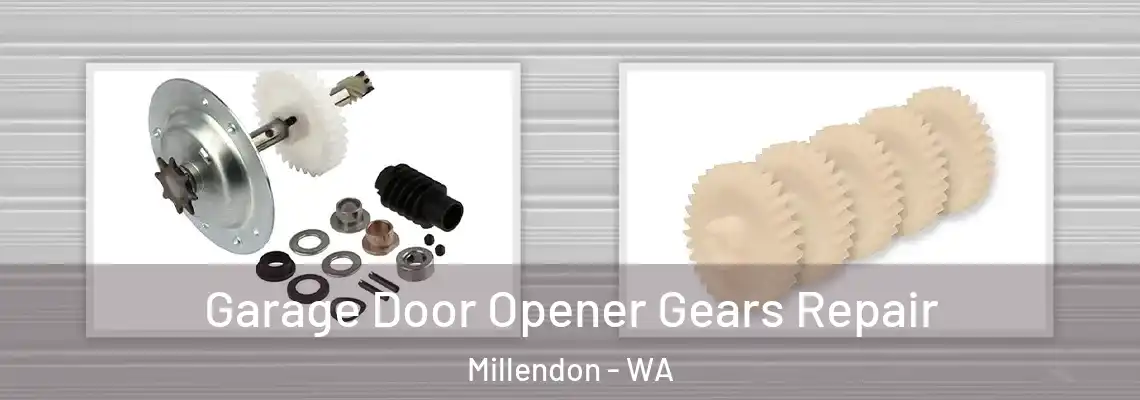  Garage Door Opener Gears Repair Millendon - WA