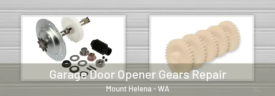  Garage Door Opener Gears Repair Mount Helena - WA