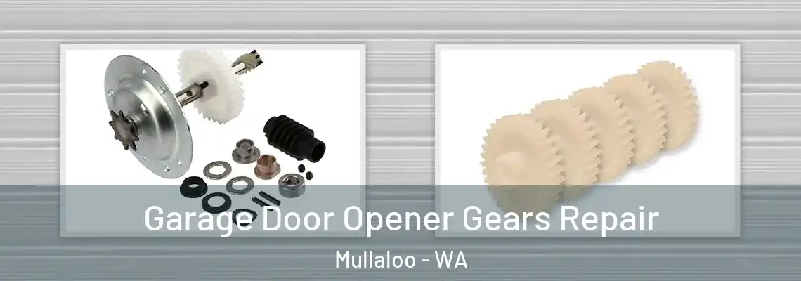  Garage Door Opener Gears Repair Mullaloo - WA
