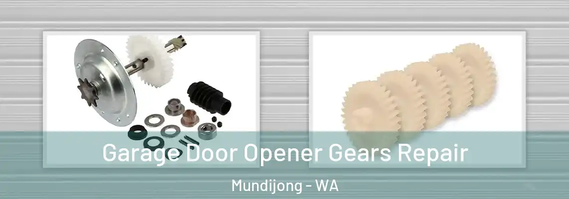  Garage Door Opener Gears Repair Mundijong - WA