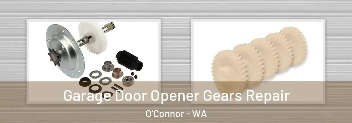  Garage Door Opener Gears Repair O'Connor - WA