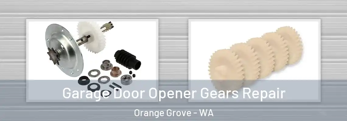  Garage Door Opener Gears Repair Orange Grove - WA