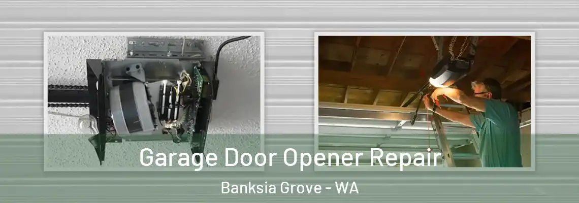  Garage Door Opener Repair Banksia Grove - WA