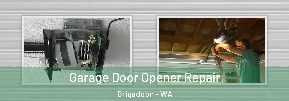  Garage Door Opener Repair Brigadoon - WA