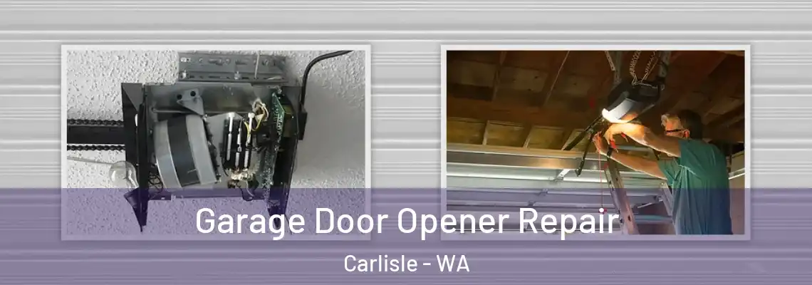 Garage Door Opener Repair Carlisle - WA