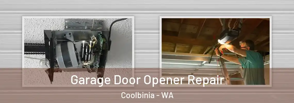  Garage Door Opener Repair Coolbinia - WA