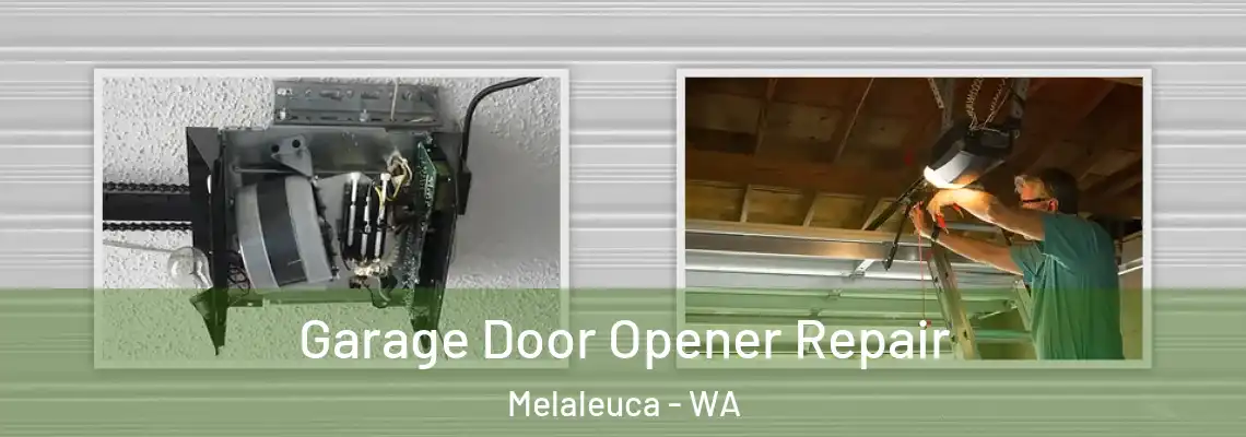  Garage Door Opener Repair Melaleuca - WA