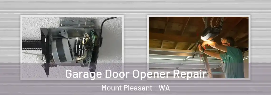  Garage Door Opener Repair Mount Pleasant - WA