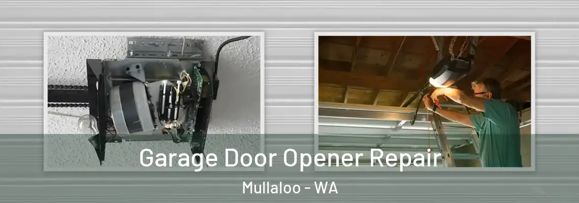 Garage Door Opener Repair Mullaloo - WA