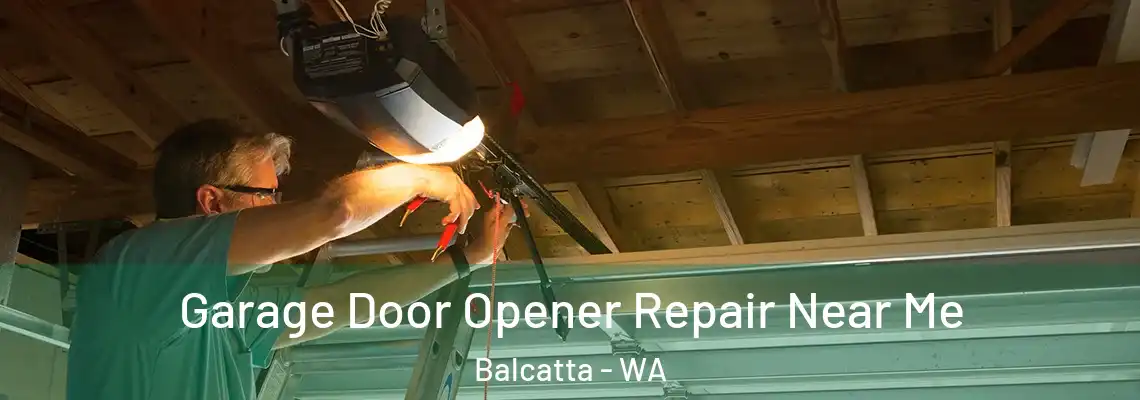  Garage Door Opener Repair Near Me Balcatta - WA