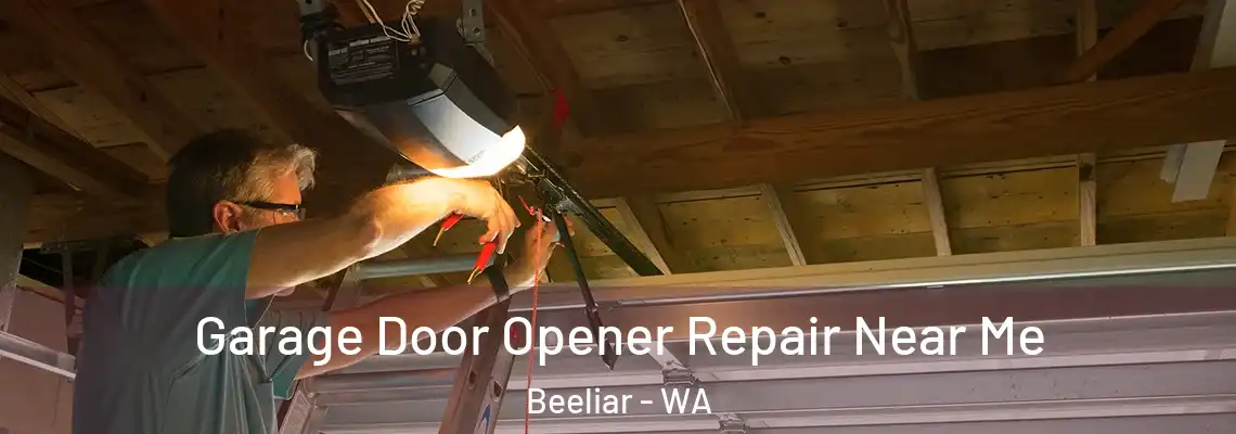  Garage Door Opener Repair Near Me Beeliar - WA