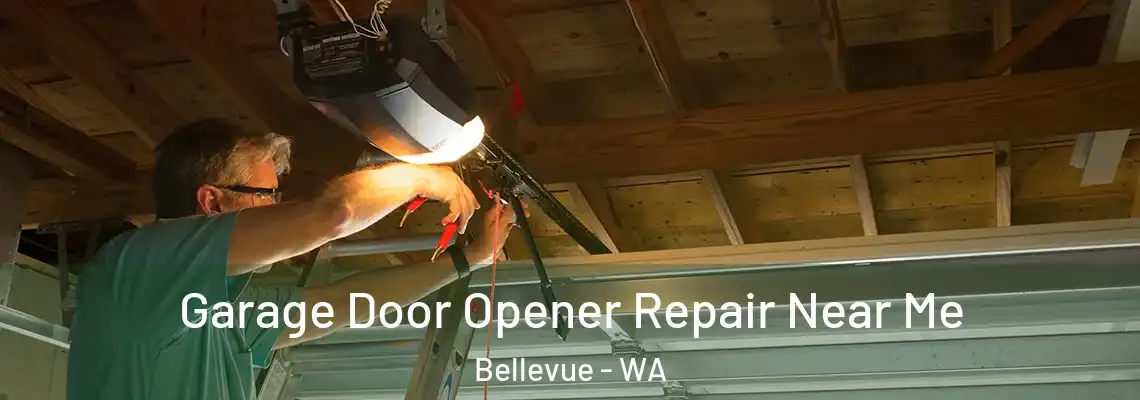  Garage Door Opener Repair Near Me Bellevue - WA