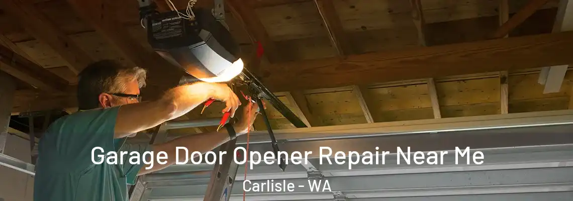  Garage Door Opener Repair Near Me Carlisle - WA