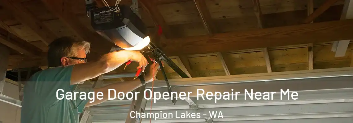 Garage Door Opener Repair Near Me Champion Lakes - WA