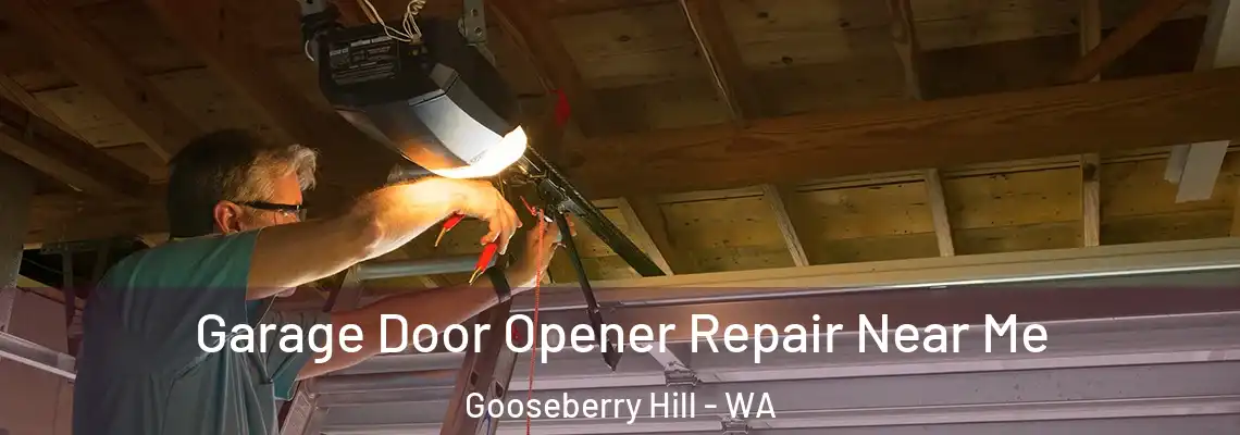  Garage Door Opener Repair Near Me Gooseberry Hill - WA