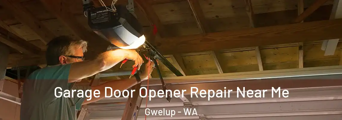  Garage Door Opener Repair Near Me Gwelup - WA
