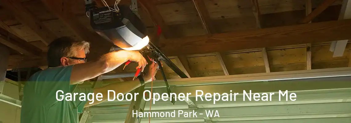  Garage Door Opener Repair Near Me Hammond Park - WA