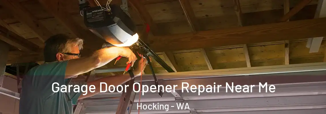  Garage Door Opener Repair Near Me Hocking - WA