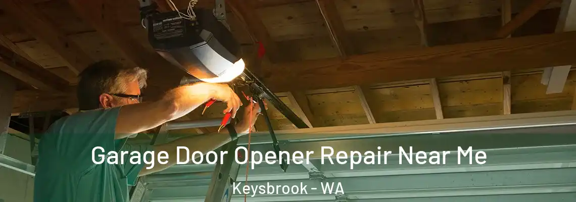  Garage Door Opener Repair Near Me Keysbrook - WA