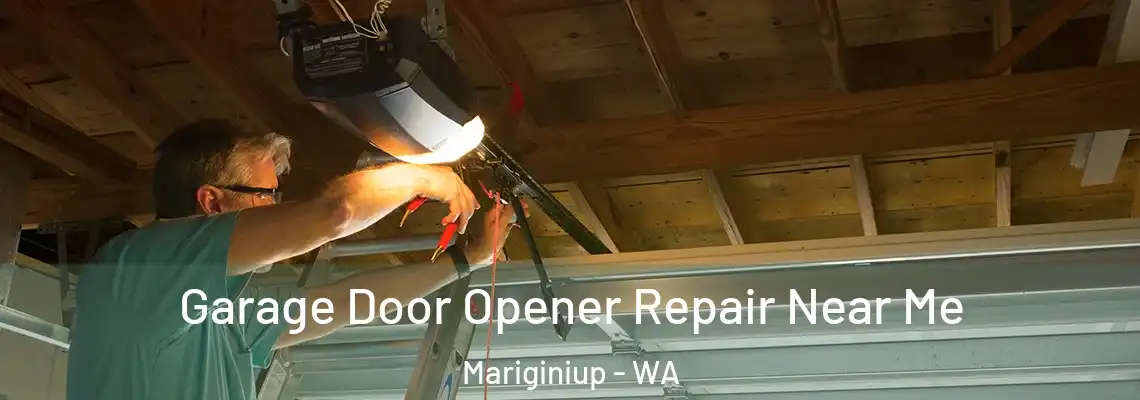 Garage Door Opener Repair Near Me Mariginiup - WA