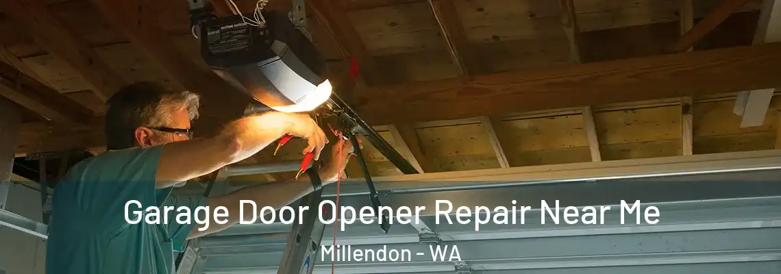  Garage Door Opener Repair Near Me Millendon - WA