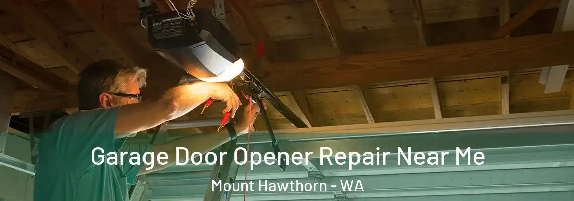  Garage Door Opener Repair Near Me Mount Hawthorn - WA
