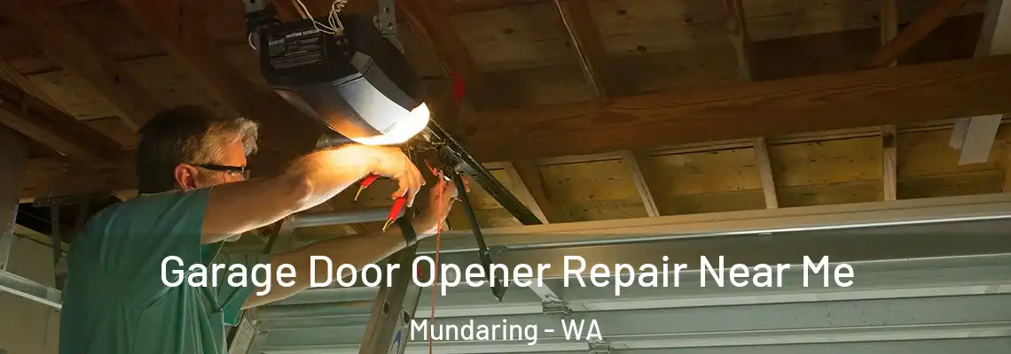  Garage Door Opener Repair Near Me Mundaring - WA
