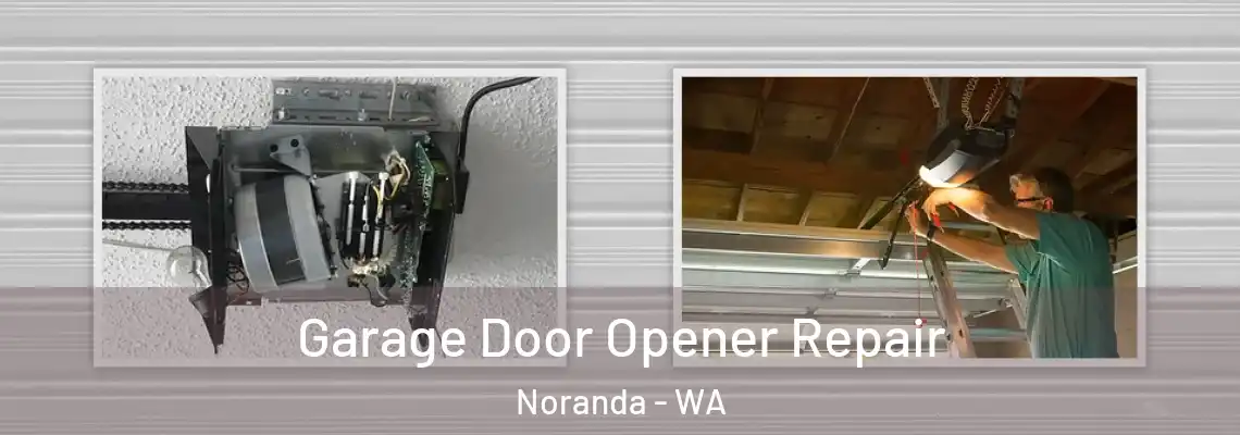  Garage Door Opener Repair Noranda - WA