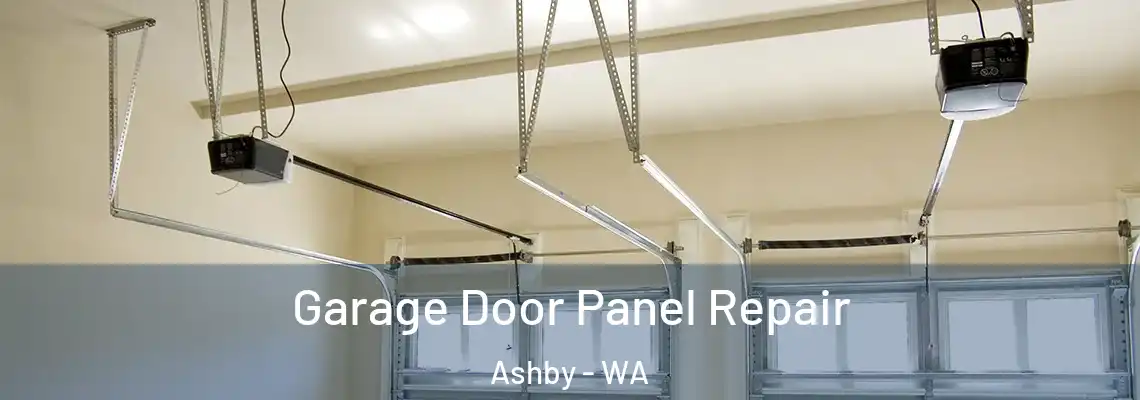  Garage Door Panel Repair Ashby - WA
