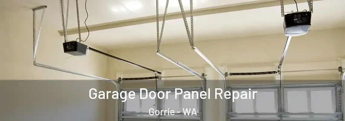  Garage Door Panel Repair Gorrie - WA