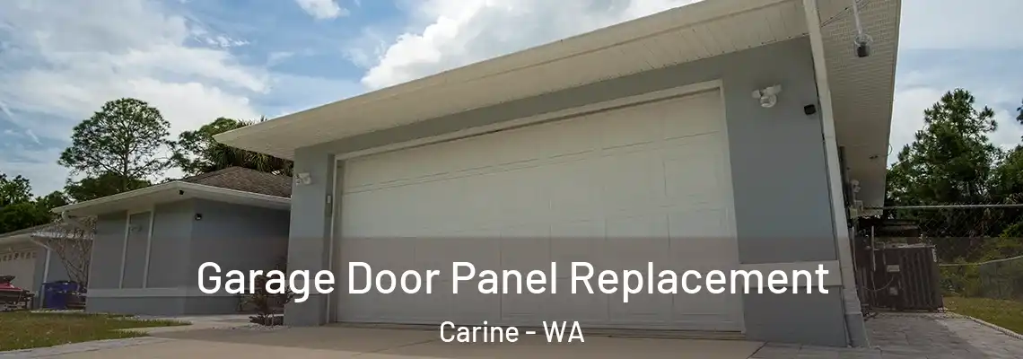  Garage Door Panel Replacement Carine - WA