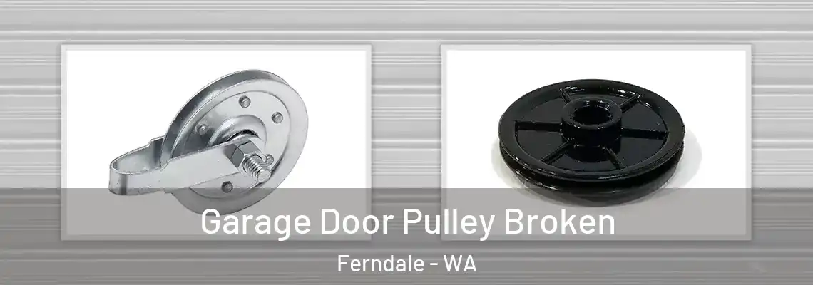  Garage Door Pulley Broken Ferndale - WA