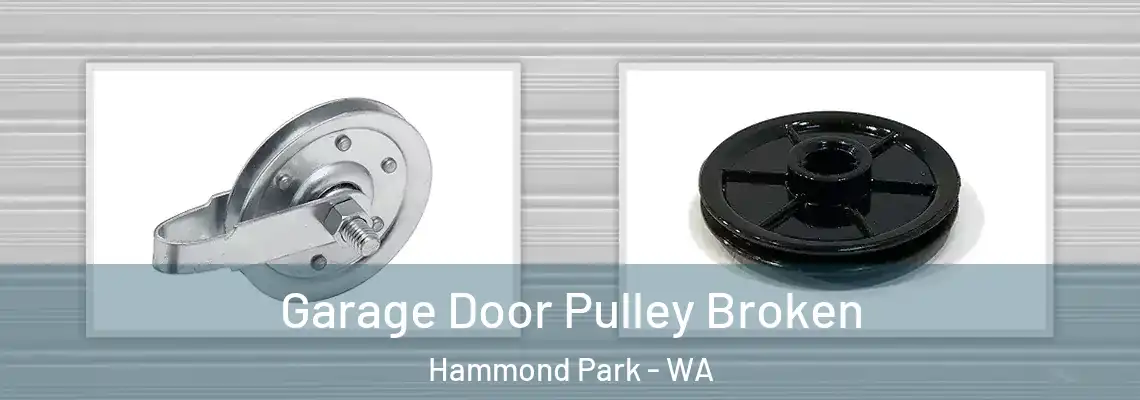 Garage Door Pulley Broken Hammond Park - WA