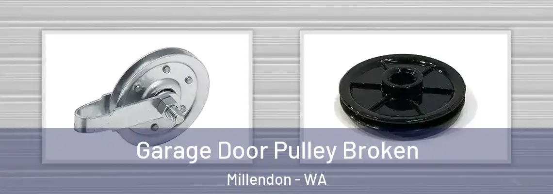  Garage Door Pulley Broken Millendon - WA