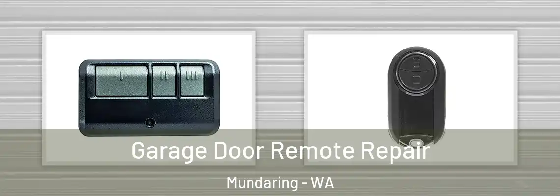 Garage Door Remote Repair Mundaring - WA