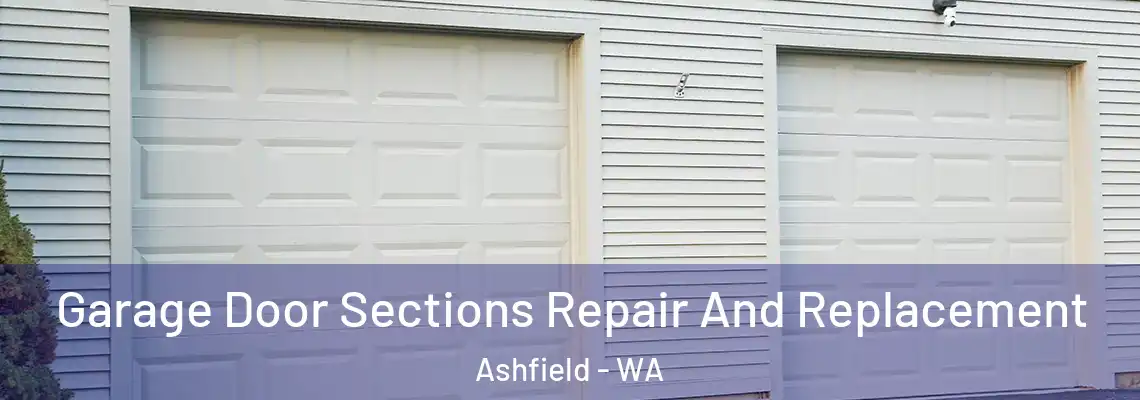  Garage Door Sections Repair And Replacement Ashfield - WA