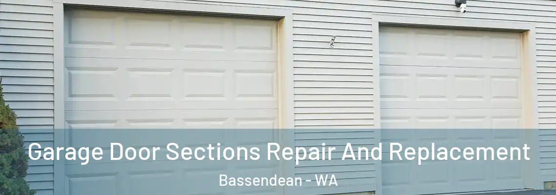  Garage Door Sections Repair And Replacement Bassendean - WA